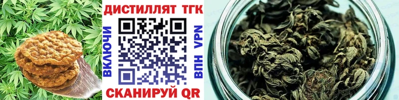 kraken tor  продажа наркотиков  Тосно  Еда ТГК марихуана 