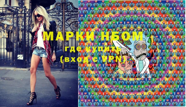 Альфа ПВП Няндома