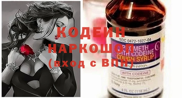 Альфа ПВП Няндома