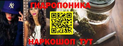 гидра Гагарин