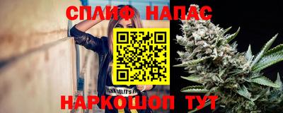гидра Гагарин