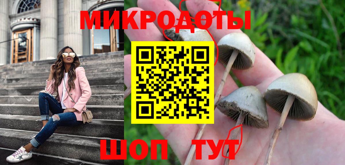 Тосно  Псилоцибиновые грибы прущие грибы  Вход с VPN  Псилоцибиновые грибы мицелий 